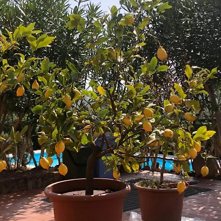 Gli Ulivi Apartman