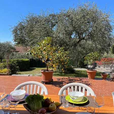 Gli Ulivi Apartment