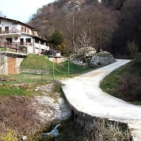 Gli Ulivi *